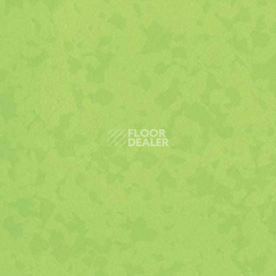 Линолеум Taralay Premium Osmoz 4527 Bamboo фото 1 | FLOORDEALER